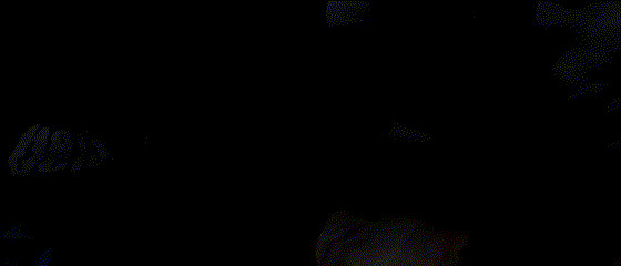 Betshy Paola Sanchez Marrugo